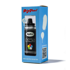 BIGFUN! Blinksy Vaporizer (ONLINE ONLY)