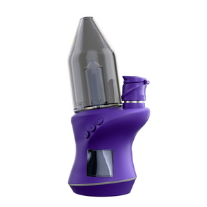 Focus V Carta 2 (ONLINE ONLY)