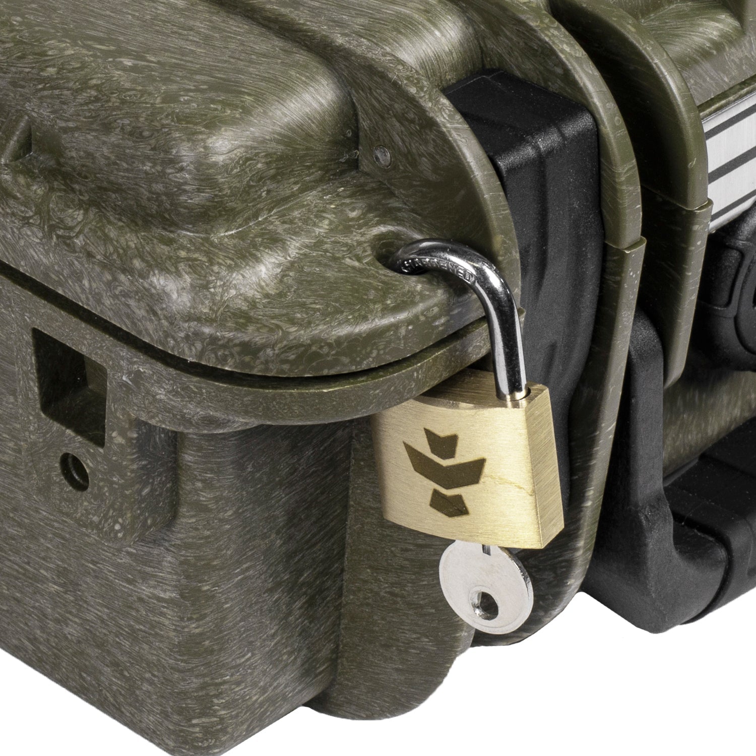 The Scout 11 (ONLINE ONLY)