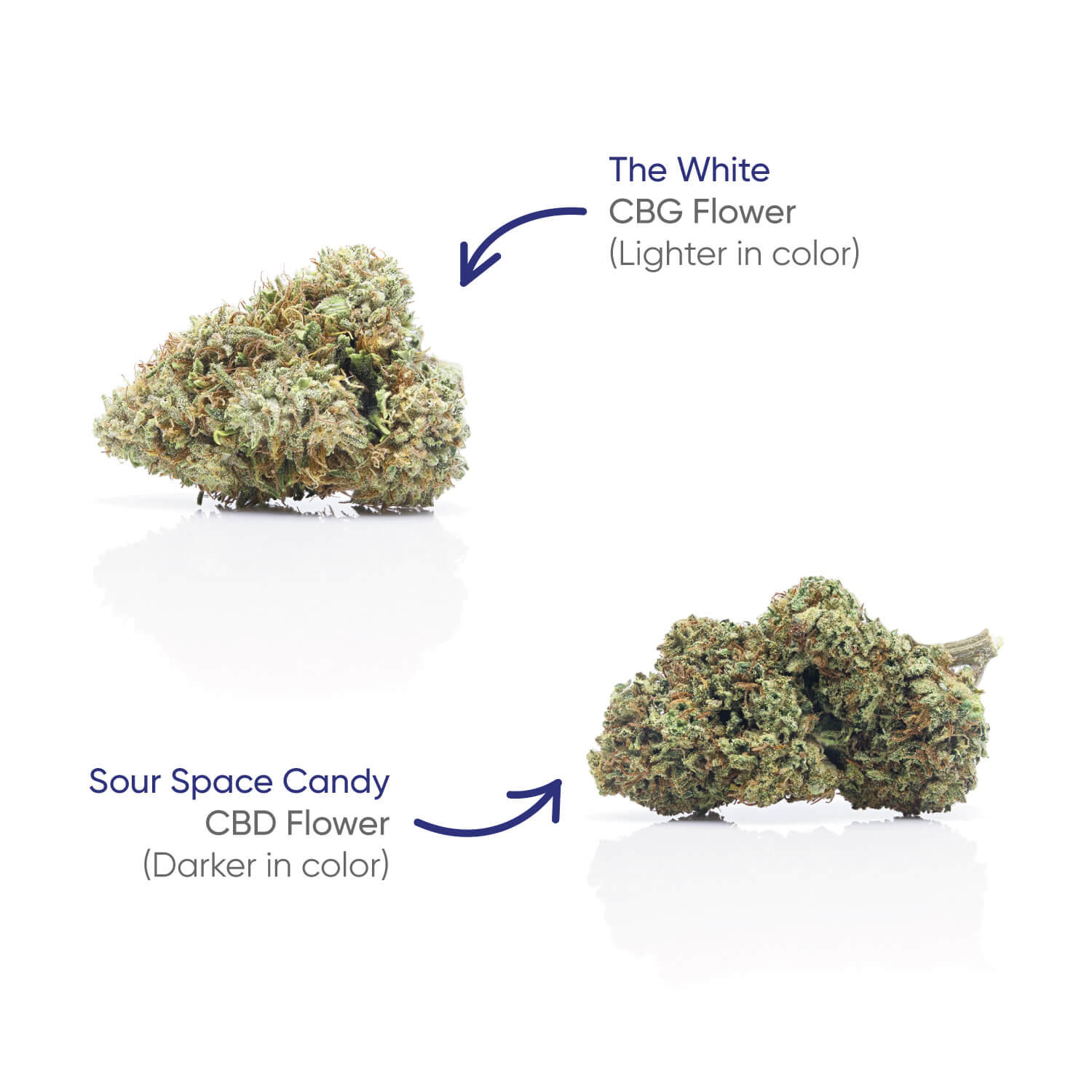 Hhemp.co 4g CBG+CBD Jar - The White + Sour Space Candy