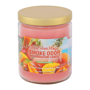 Smoke Odor Exterminator Candle