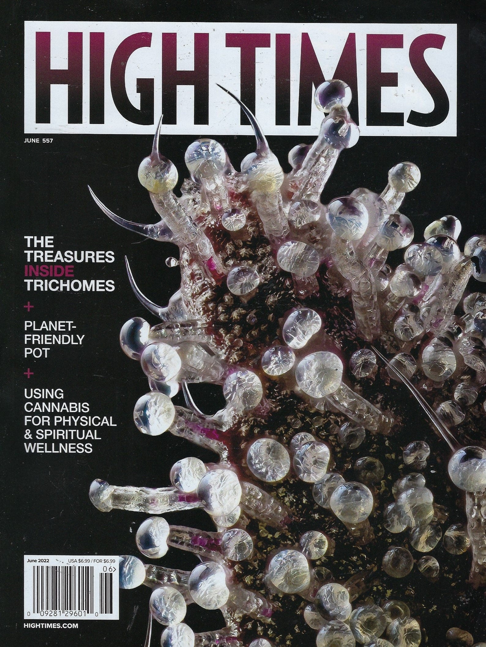 High Times Magazine - July